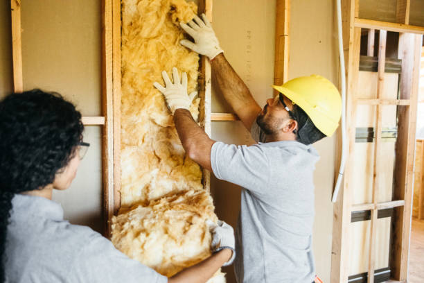 Best Basement Insulation  in Terra Bella, CA