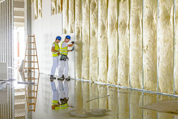 Best Spray Foam Insulation  in Terra Bella, CA